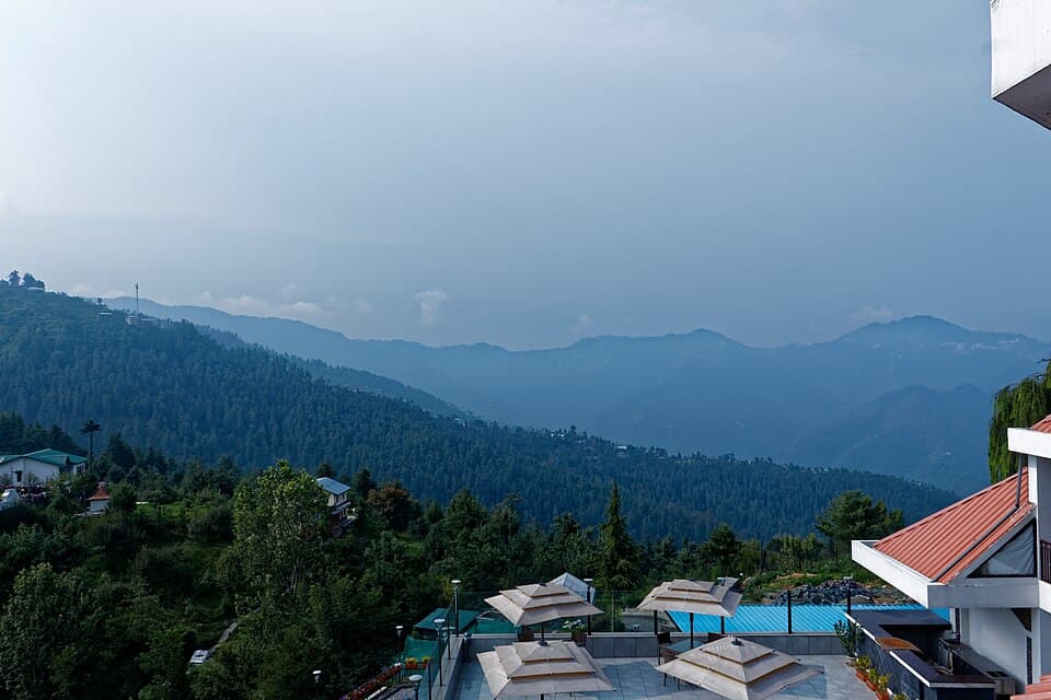 Naldehra, Shimla