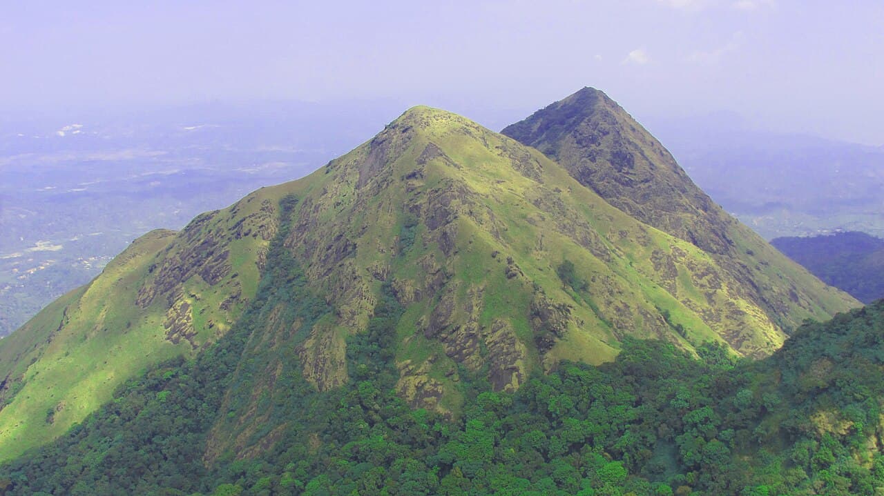 Wayanad Travel Guide: 5 Places to Visit in Kerala's Western Ghats