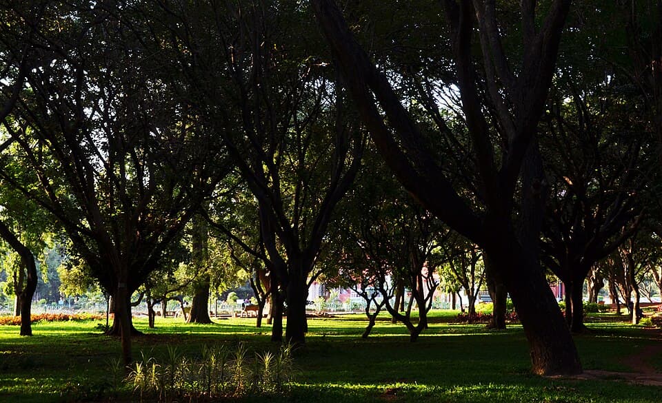 Cubbon Park, Bangalore
