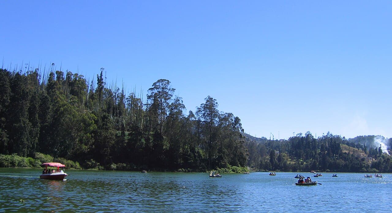 Ooty Travel Guide: 5 Places to Visit in the Nilgiris