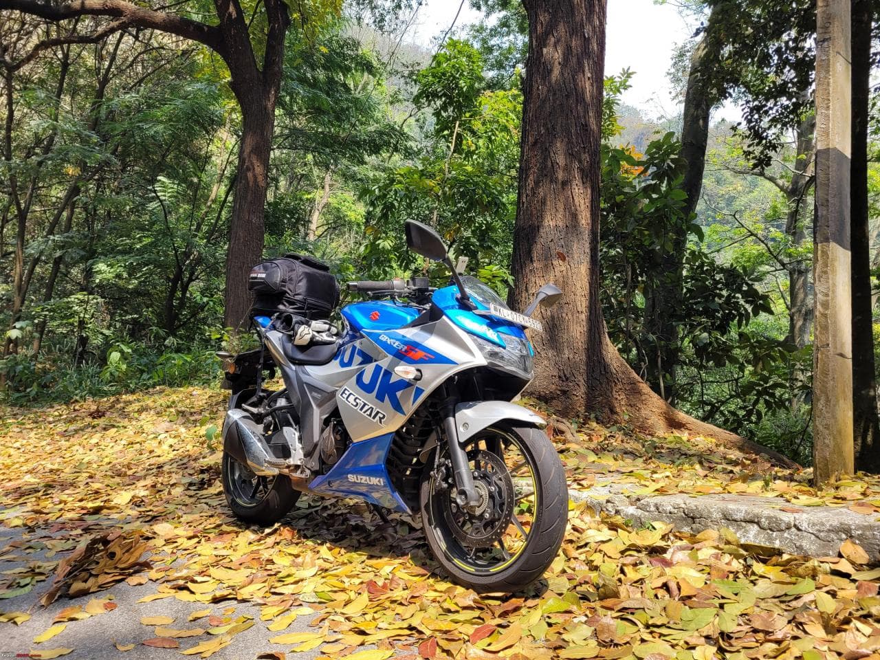 Suzuki Gixxer SF 250 listed for rent on Wheel On Rent